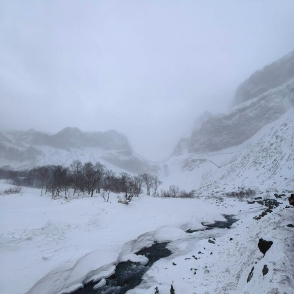 Meet your Posher, Grey - Picture 1 of 1